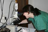 INSEMINATION ARTIFICIELLE 008